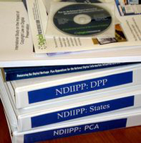 NDIIPP Reports